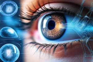 Deep Learning Interview Guide